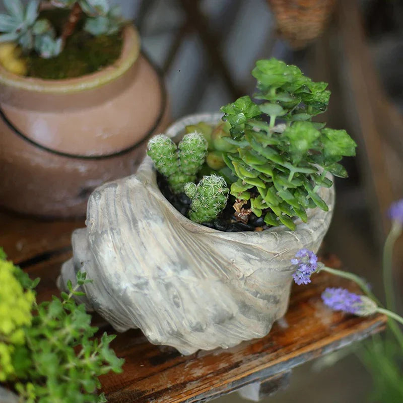 Shell Ceramic Flower Vase for Home and Table