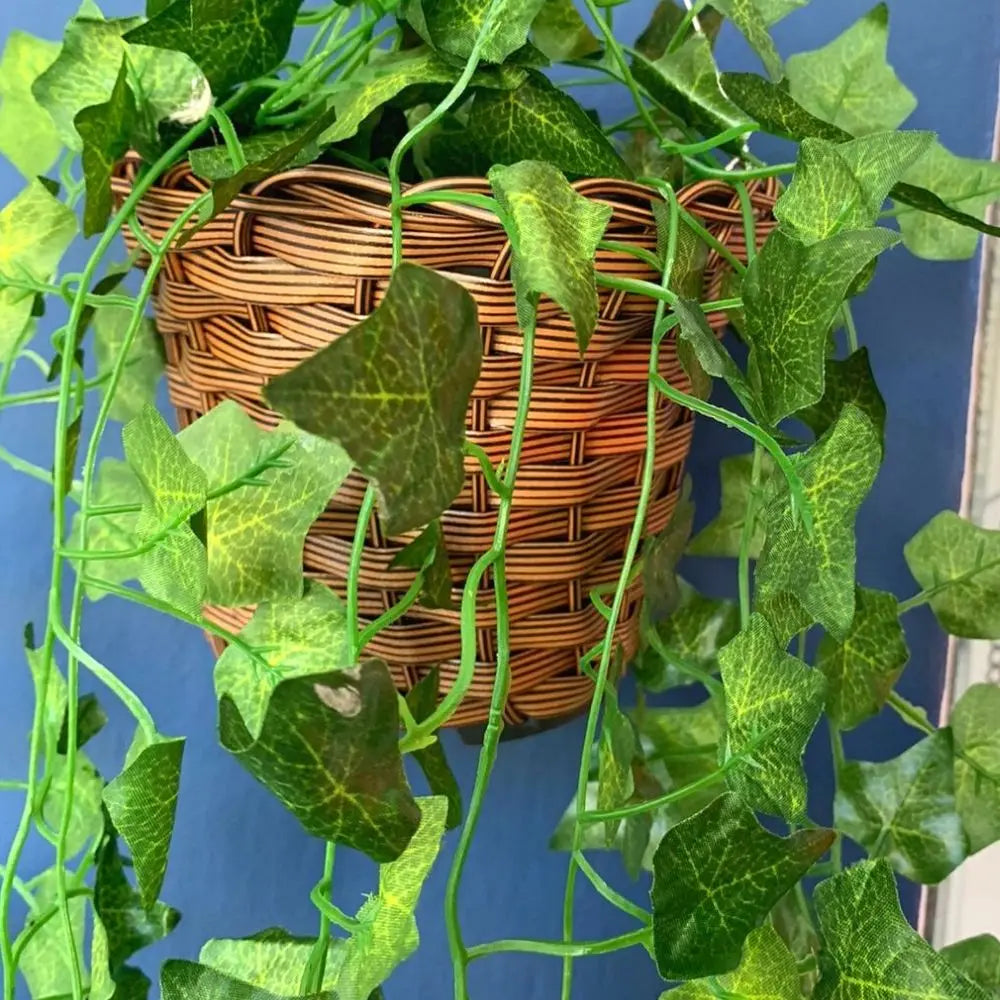 Ivy Vine Arrangement with Pot